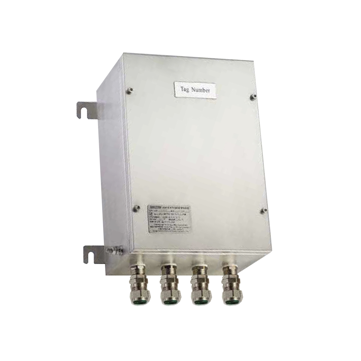 Appleton™ ASSE Series Stainless Steel Enclosure