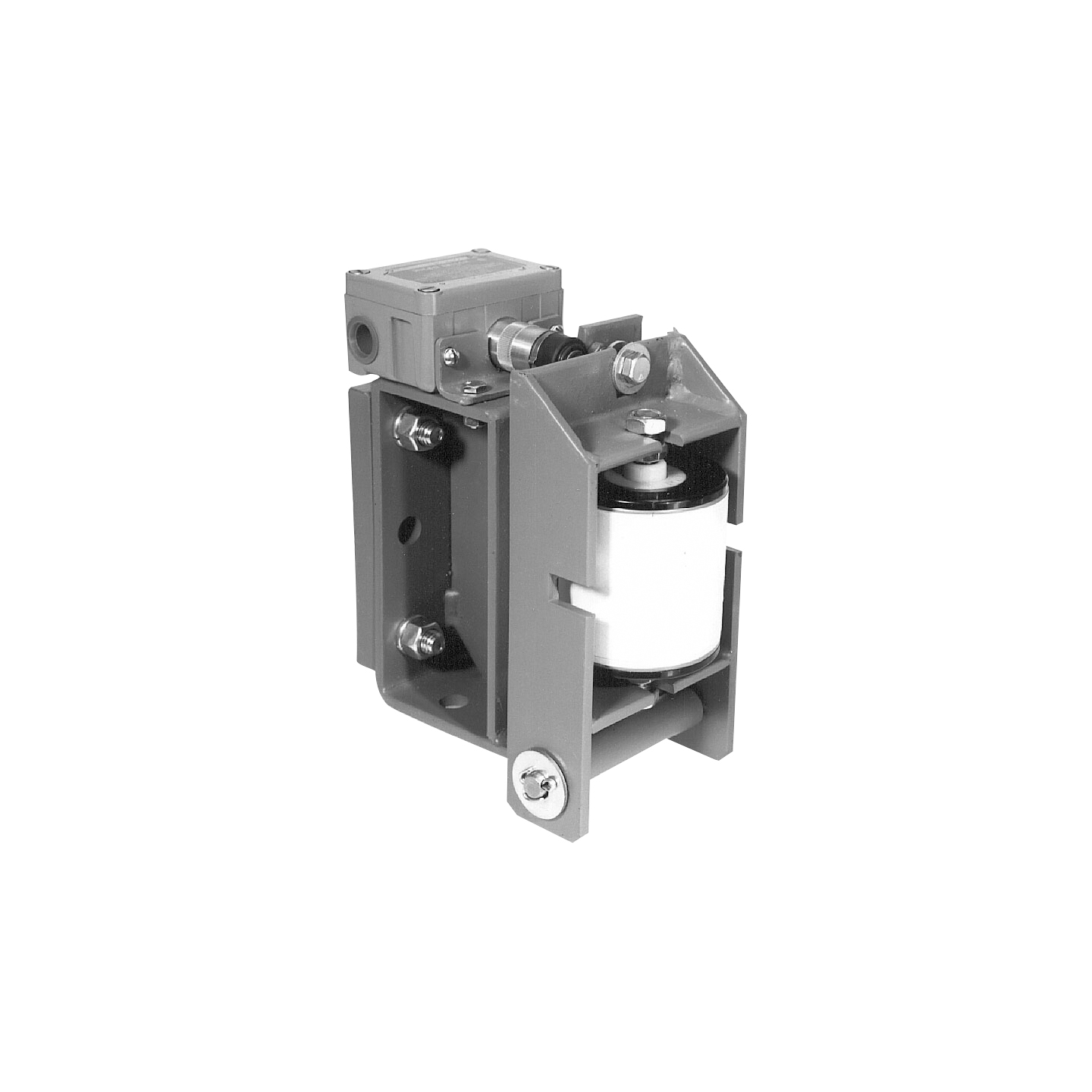 Conveyor Switches